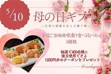 �y��̓��z �S�������n���X�Ђ��H�ה�׃Z�b�g�iZFK-402�j