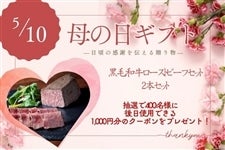 �y��̓��zJAT-10�@���јa�����[�X�g�r�[�t�Q�{�Z�b�g