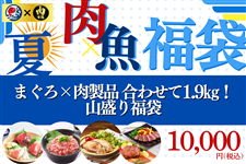 ×܁@܂×i킹1.9sIR蕟