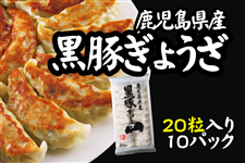 yƒp/P[XzLq20×10pbN