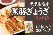 yP[XzLq^t(231g×20pc)