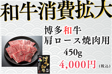 �`�a������g�偞 �����a�������[�X�ē��p450g�y�Ⓚ�z