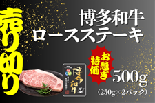 a[XXe[L500g(250g×2pbN)؂SALE