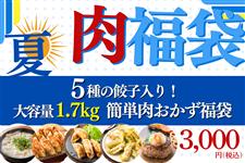 �������܁�5����L�q����I��e��1.7kg�ȒP�����������܁@��8/25~9/4�����\��