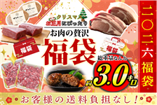 ܁NX}XEɂ҂!!  ґ򕟑 N