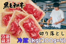 ݁IyI①z؂藎Ƃ1kg