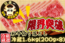 �y�l�����E�z�y���I�①�z�����������؂藎�Ƃ�1.6kg ~�����炠�ӂ��΂����~