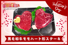 �S�͐�`���yLIVE�z�M����z���јa�������n�[�g�`�X�e�[�L�y���ɗⓀ�z