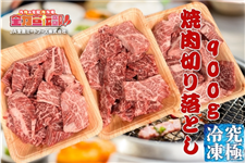 �S�͐�`���yLIVE�z�M����z�y���ɗⓀ�z���јa�� �ē��؂藎�Ƃ�(�o��)900g