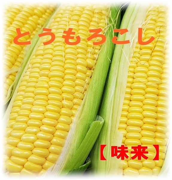 群馬県太田市産「ちよ子のとうもろこし」味来（みらい） 9本～10本入