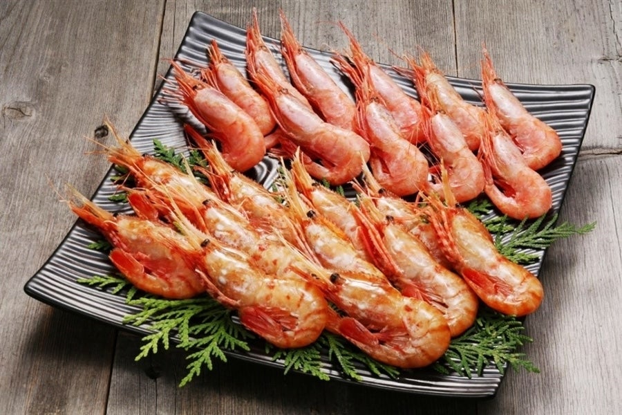 写真はイメージです