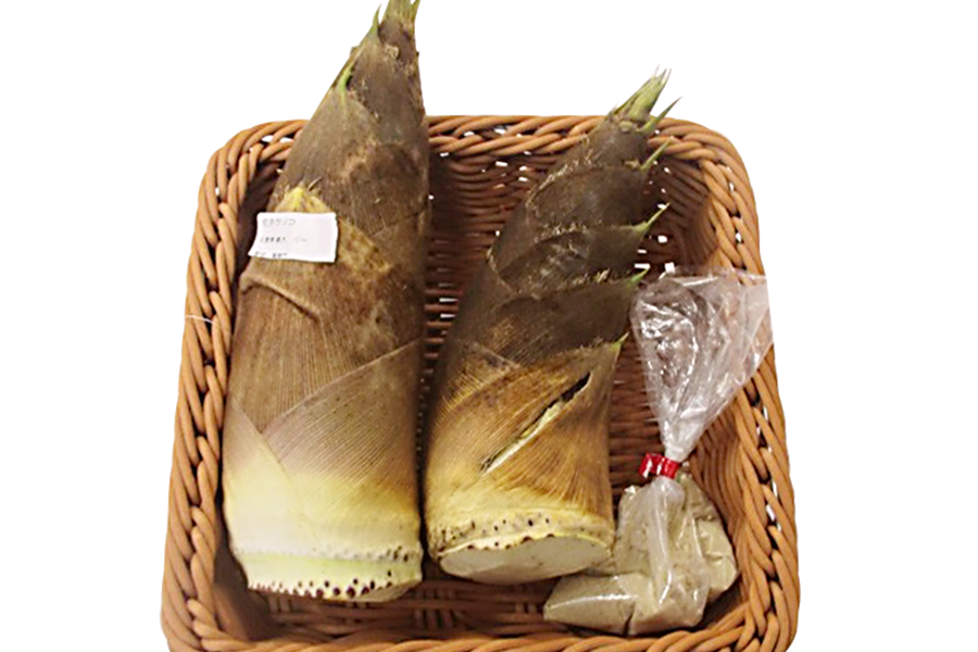 �Q�n������s�Y�@�����̂��@��2�����i2�`4�{�j