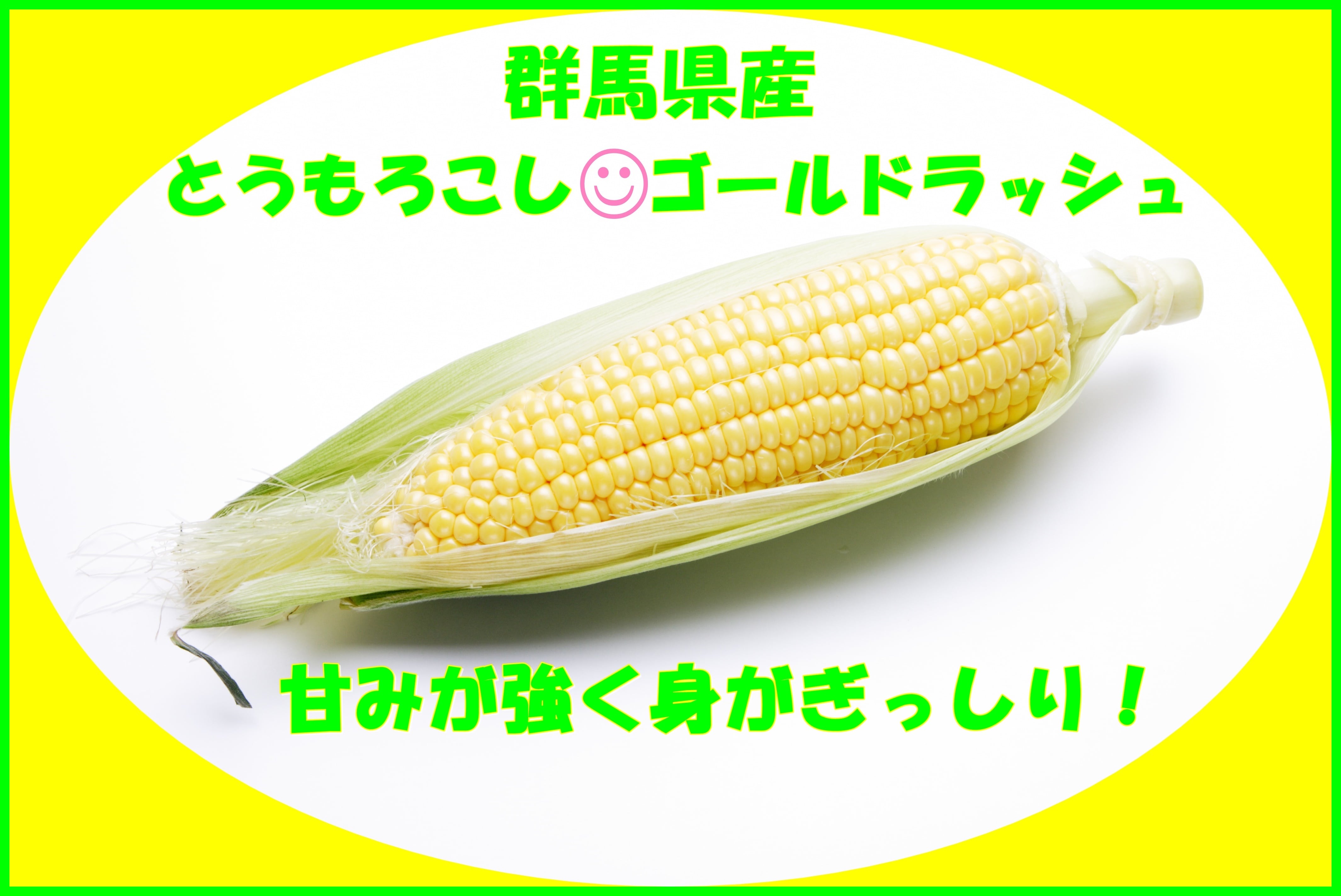 QnYƂ낱yS[hbVz2k 5kg
