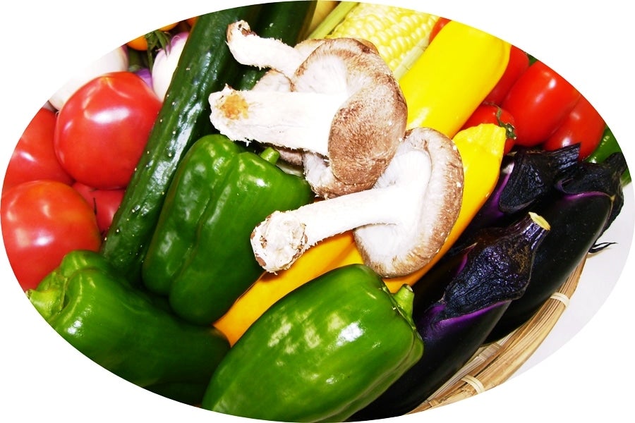 �y��̓��z ���コ��̑I�񂾎Y����؋l��C