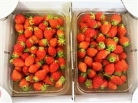  �Q�n���ɐ���s�Y�@�������y����z�W�����p�@�P����