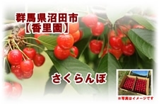 さくらんぼ【佐藤錦】特A品 手詰め600g L～2L: UMAIZO