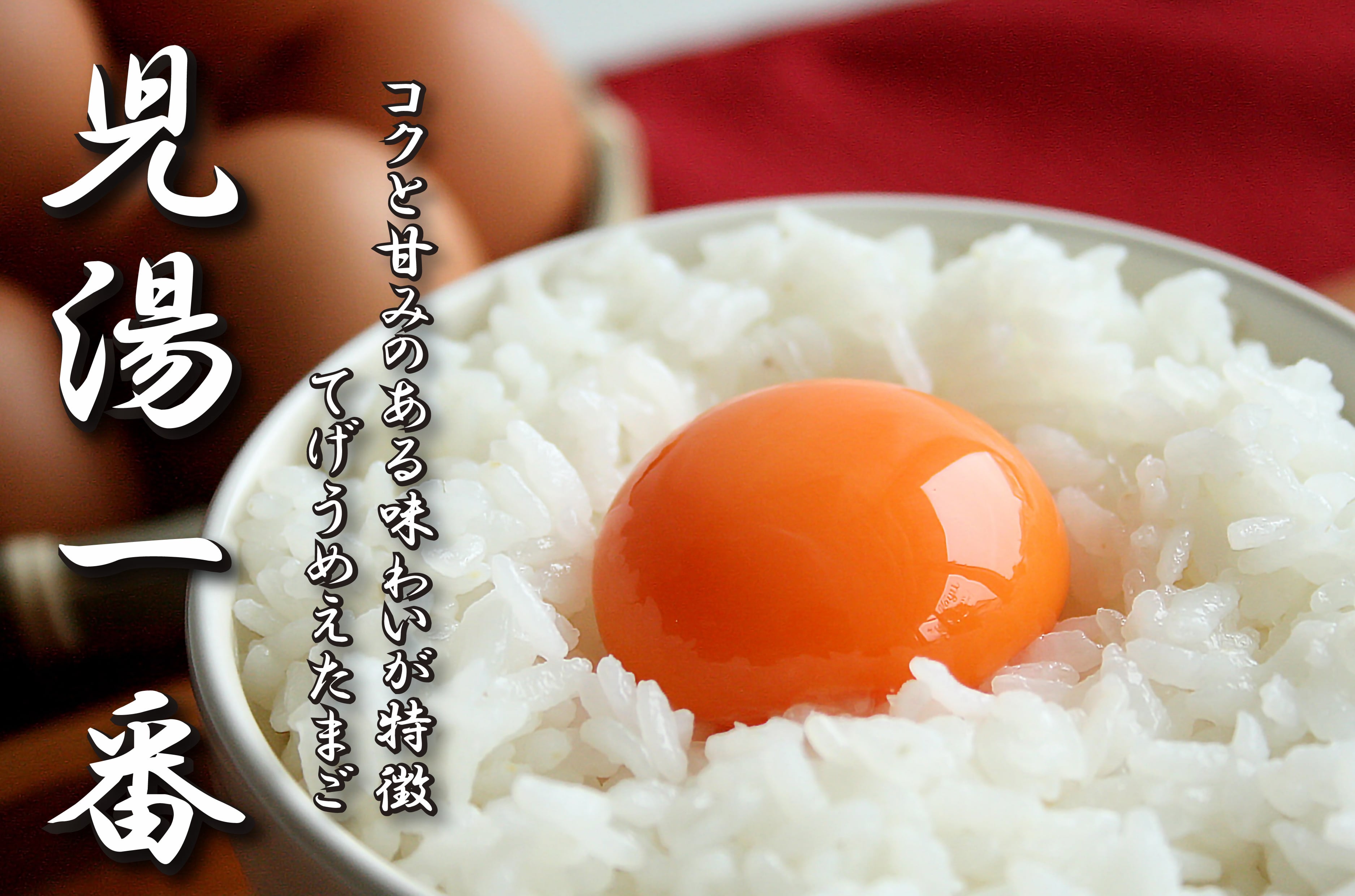 夏の贈り物【送料無料・クール代込】たまご「児湯一番」20個入（内5個