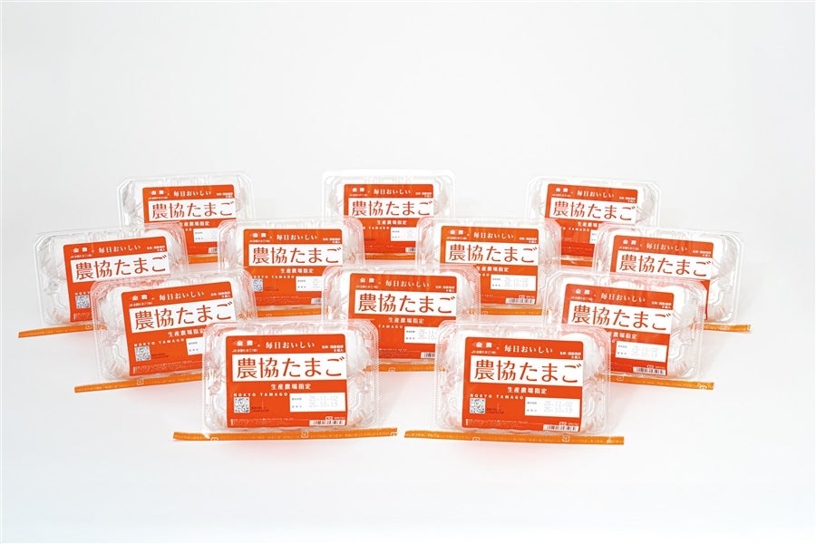 【NK04】農協たまご6個入×12パック