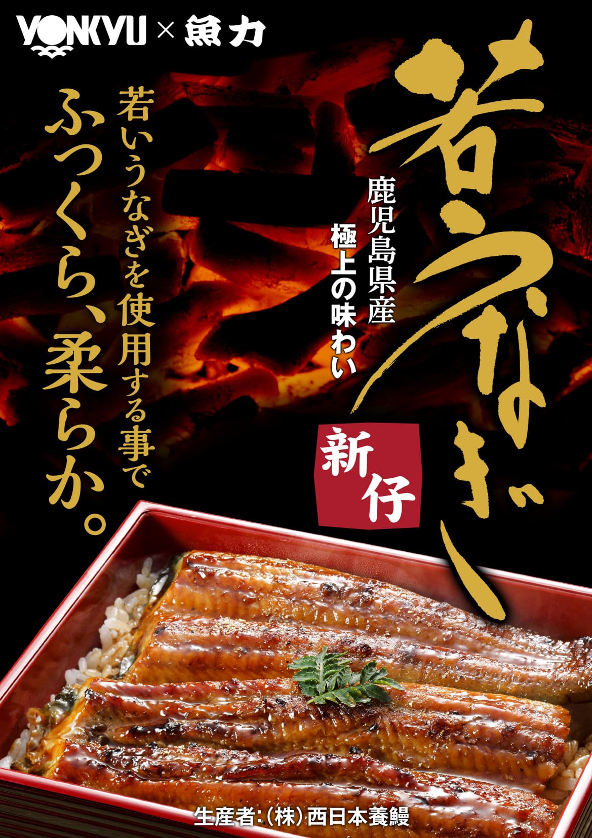 産地直送 通販 お取り寄せ国産若うなぎ長焼3尾セット 約140gx3入 鮮魚専門店魚力 jaタウン 産地直送 通販 お取り寄せ国産若うなぎ長焼3尾セット 約140gx3入 鮮魚専門店魚力 jaタウン
