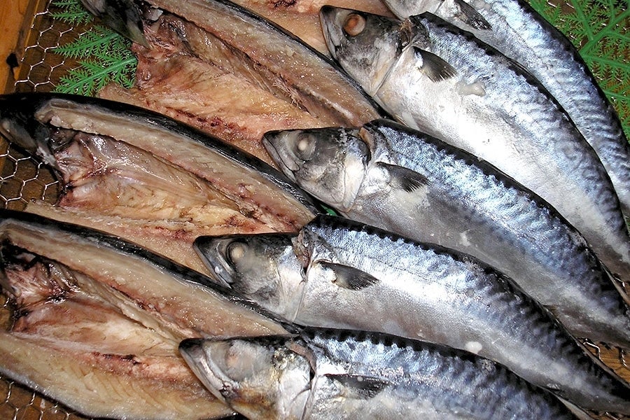 産地直送 通販 お取り寄せ宮城県産金華サバ開き3枚入 約3gx3 1枚パック 鮮魚専門店魚力 ｊａタウン