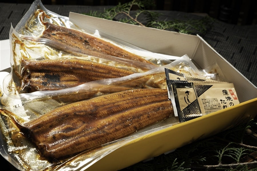 国産若うなぎ長焼２尾セット｜鰻の蒲焼　お取り寄せ　鮮魚専門店魚力|【ＪＡタウン】産地直送　ギフトにもおすすめ　約140g×２尾:　通販