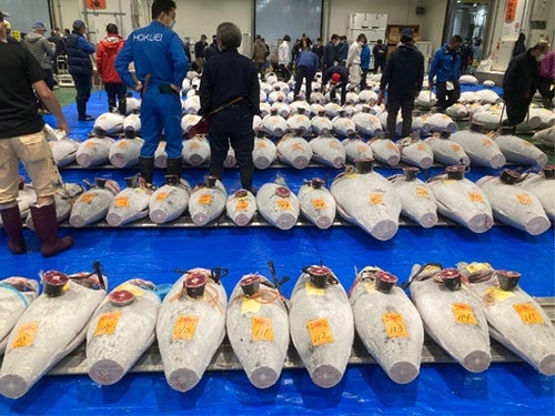 市場で毎日まぐろを吟味している「まぐろの目利き」たちが自信を持ってお届けします。