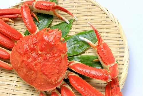 繊細が甘みが魅力の「ずわいがに」