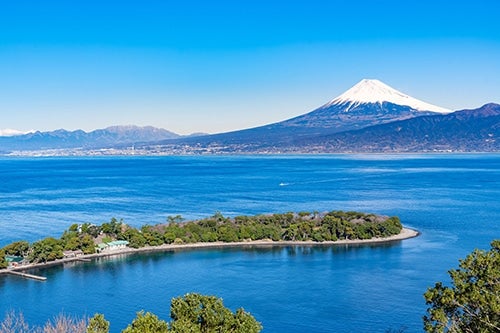 「干物の聖地」とも呼ばれている、静岡県の沼津で丁寧に仕込んだ干物です。