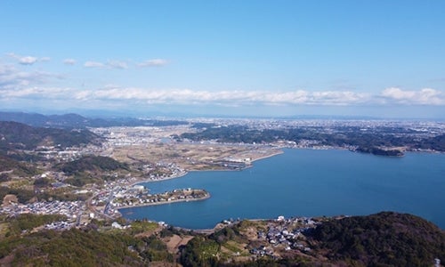 ミネラル豊富な地下水と温暖な気候の浜名湖で育ったうなぎです。