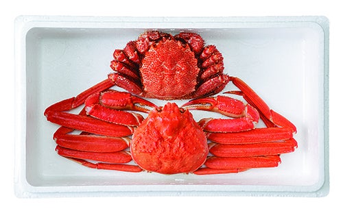 かにを緩衝材に包み、発泡スチロール箱に入れてお届けします。