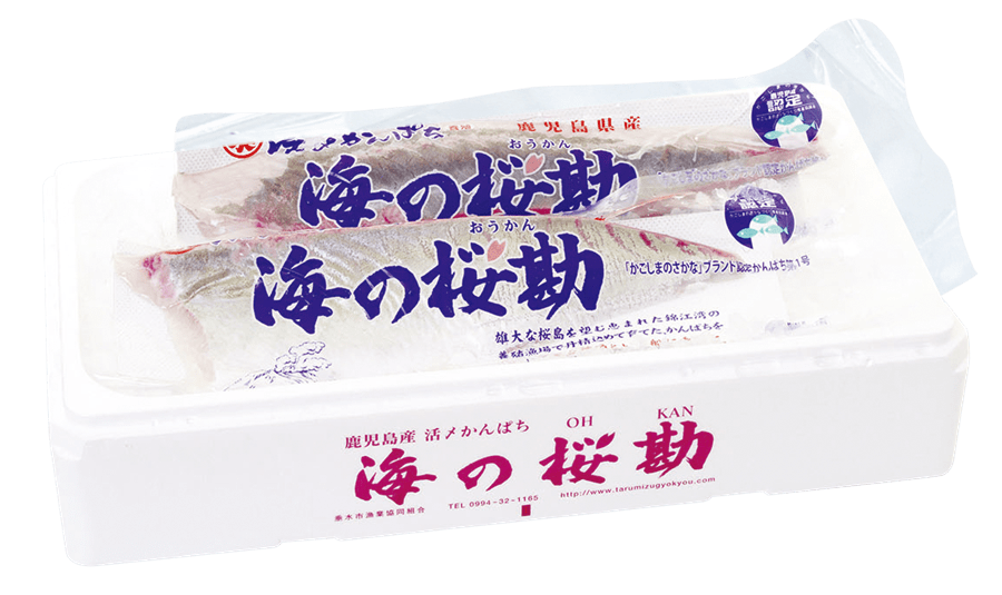 産地直送 通販 お取り寄せ海の桜勘カンパチ皮無しロイン生食用 2本入 約800g位 鹿児島県産 養殖 鮮魚専門店魚力 ｊａタウン