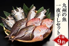 九州の魚一夜干しセット｜連子鯛 あじ いさき かますの干物４種９枚