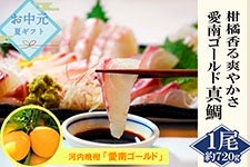 yzS[h^b1܂邲 k̍肪u₩Ȑ^iQYE{Bj