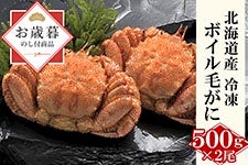 yΕzkCY {Cт500g×2iⓀjъI Mtgɂ