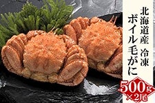 kCY {Cт500g×2iⓀjъI Mtgɂ
