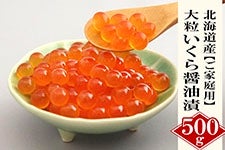 ƒp 嗱ݖ500gbkCY H 󂠂 i oq