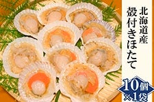 ktق10bkCY ЊL Mp Ⓚz^e@o[xL[ESĂ