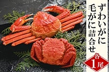 킢ɁEтɋlbkC璼@lC̃JjHהׁ@Mtgɂ