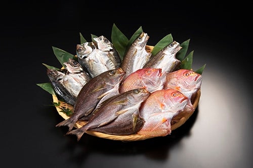 九州の魚一夜干しセット｜連子鯛 あじ いさき かますの干物４種９枚