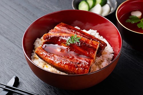 国産うなぎ 浜名湖産うなぎをうな重で召し上がれ!