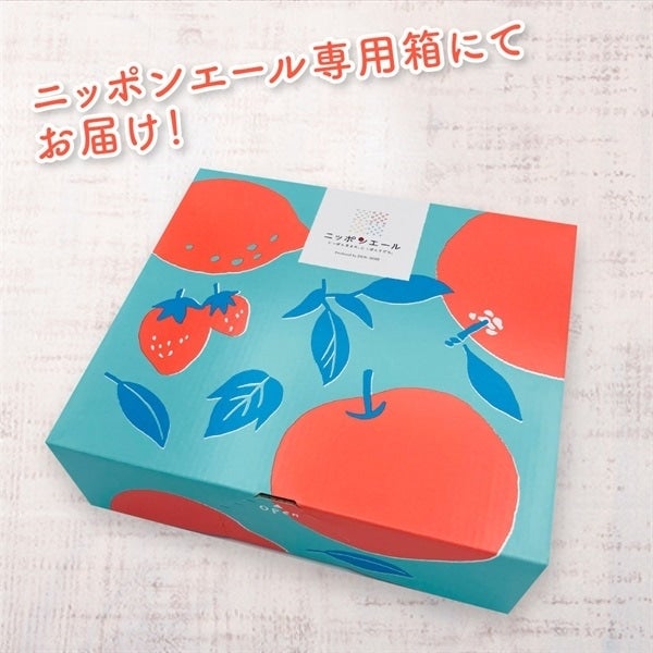 405 ドライフルーツ人気フレーバー 12種類