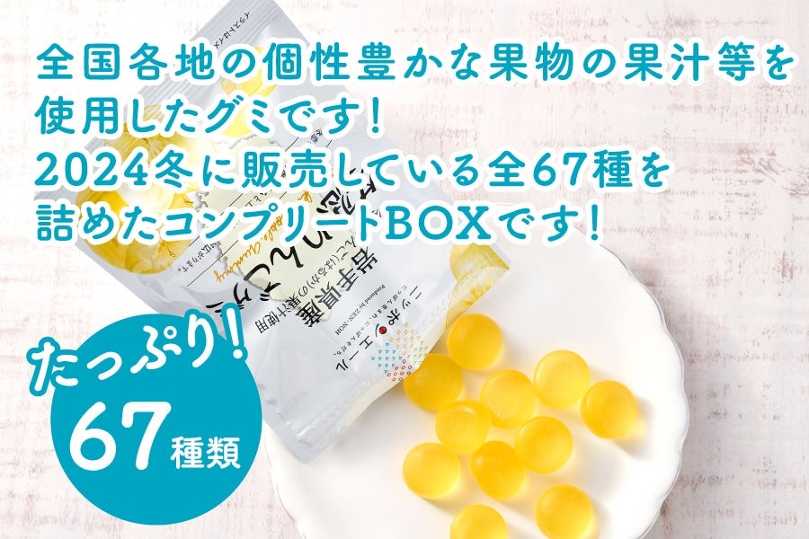285 コンプリートBOX 全67種 2024冬: ニッポンエールショップ 285 コンプリートBOX 全67種 2024冬: ニッポンエールショップ