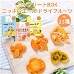 404 �y�R���v���[�gBOX�z�h���C�t���[�c�i15��ށj