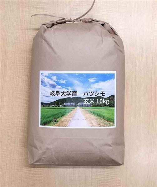 【岐阜大学産】ハツシモ玄米10kg【令和7年産】