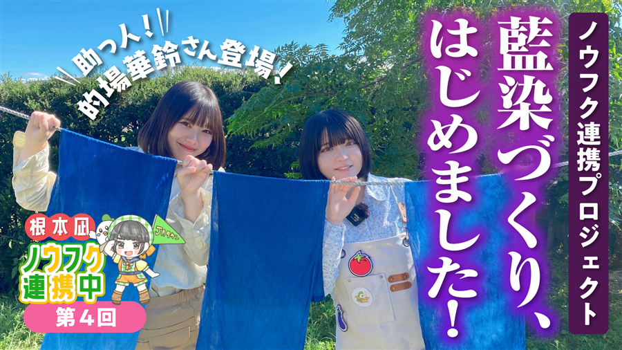 藍染デイリークロス(手ぬぐい)根本凪のノウフク連携中コラボ 3枚(送料込みの価格です)