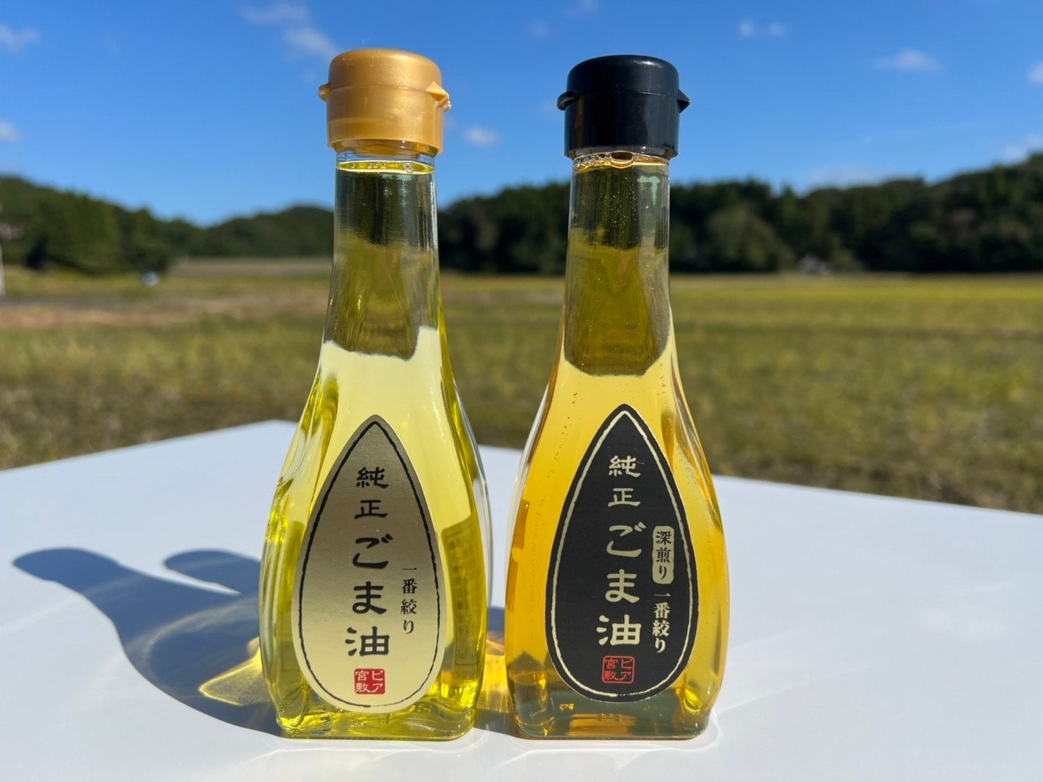 お歳暮】生で味わう純正ごま油セット（深煎り・浅煎りセット）金色の