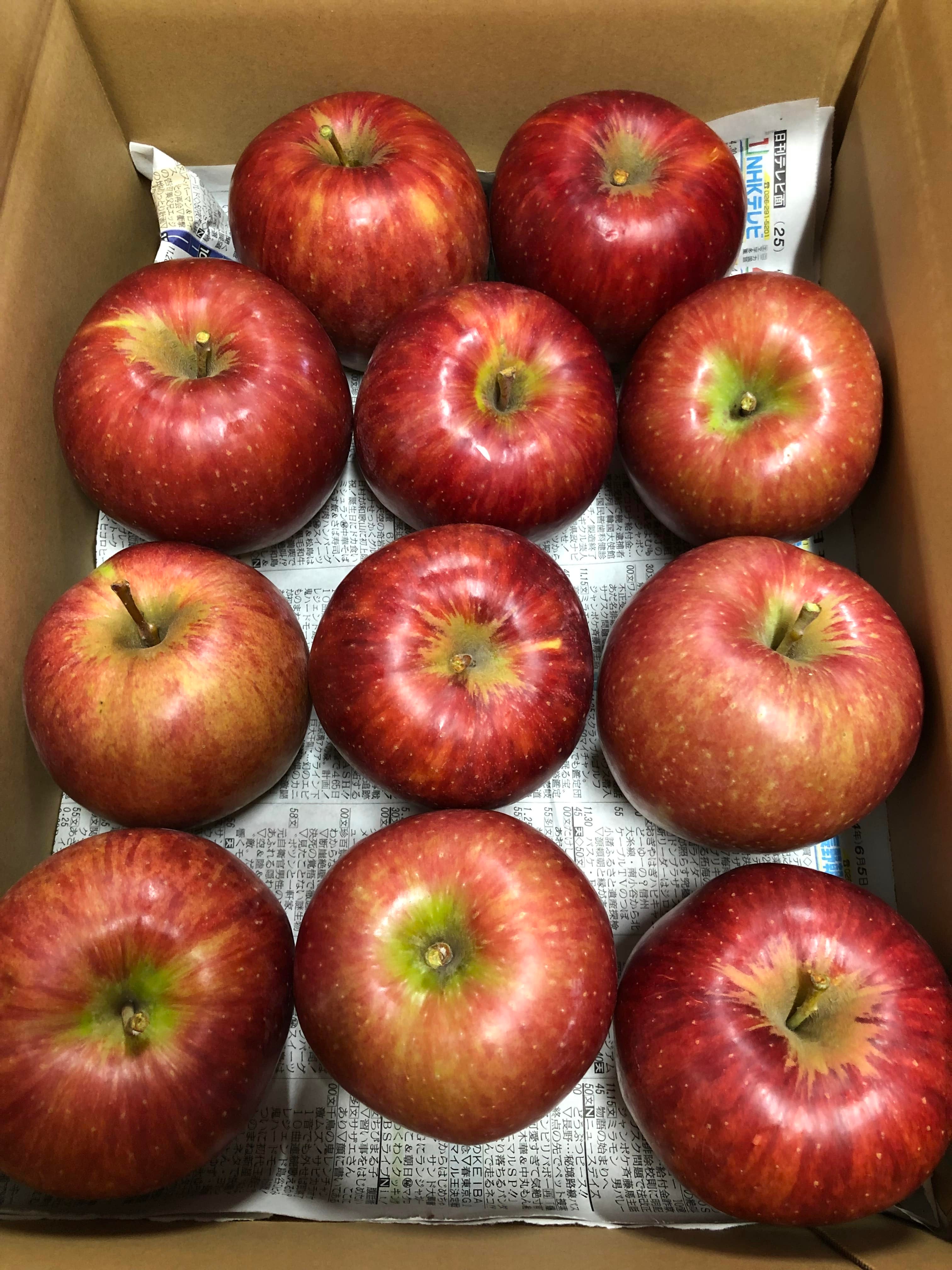 りんご・サンつがる（訳あり）約10kg 予約販売: 農福市場|【ＪＡタウン】産地直送 通販 お取り寄せ