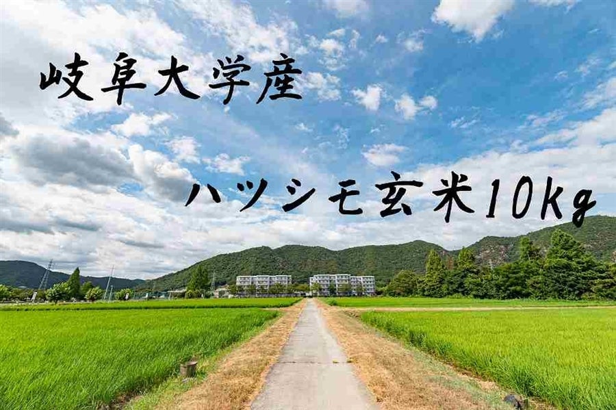 【岐阜大学産】ハツシモ玄米10kg【令和7年産】