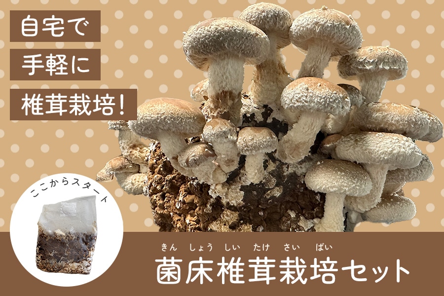 �y�������z��ĂĊy���ޒő��Z�b�g�i��ʂ�������1kg�t���j
