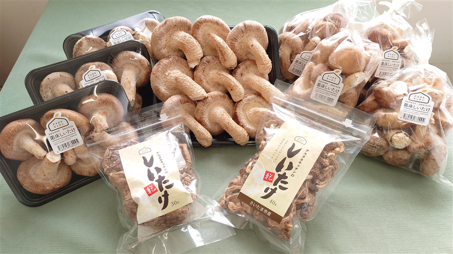 �y�������z�A�X�^�l�ő��@�������Z�b�g
